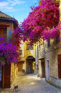 Beautiful Old Town of Provence