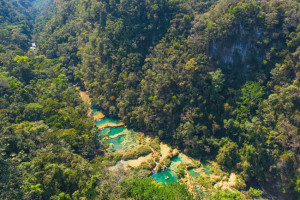  Aerial view of the turquoise waterfalls of Semuc Champey which are famous for swimming, deep in the jungle of Guatemala.