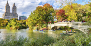 Beautiful foliage colors of New York Central Park