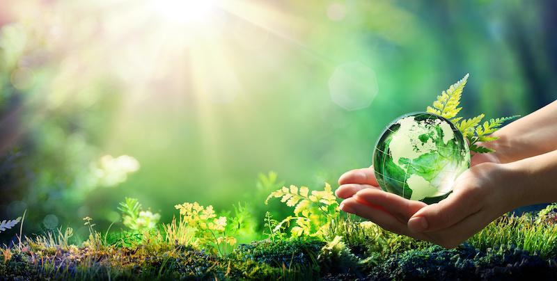 Earth Day Hands Holding Globe Glass In Green Forest - Environment Concept