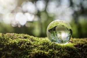 Environment conservation concept. Close up of glass globe in the forest