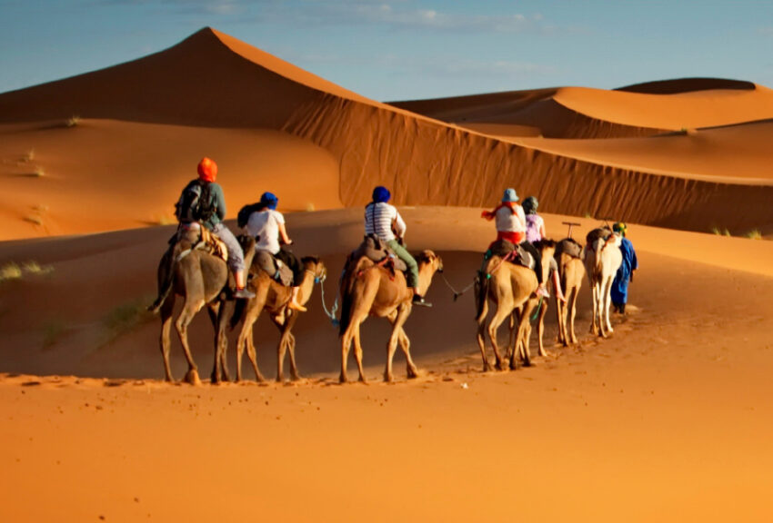 AbuDhabi Camel-Trekking