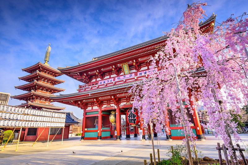Tokyo, Japan at Sensoji Temple's Hozomon Gate in the Asakusa District in the springtime. 
