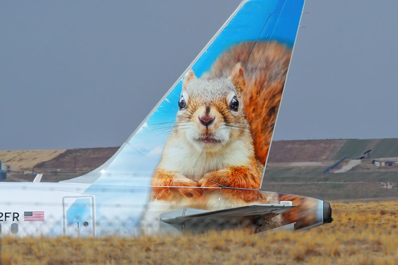 Close tail view of Airbus A320 Sammy the Squirrel operated by Frontier