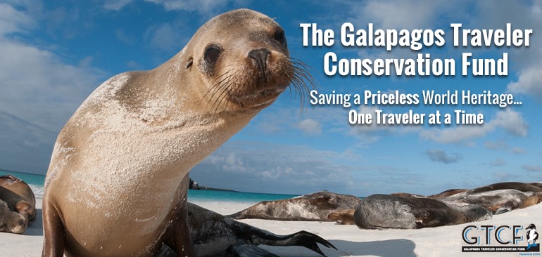 Image of seal on beach. Has text reading, "The Galapagos Traveler Conservation Fund" Photo courtesy of Galapagos Traveler Conservation Fund