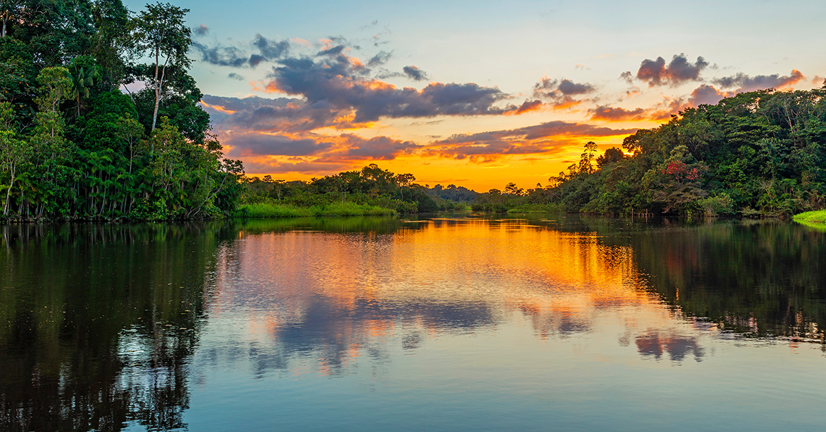 Reflection of a sunset by a lagoon inside the Amazon Rainforest. Adobe Stock
