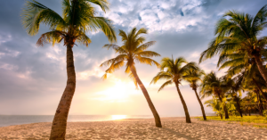 Hawaiian beach with sunset and coconut trees.